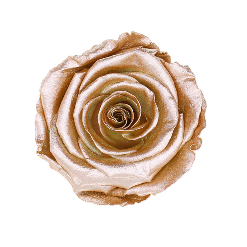 Magnificent Roses Preserved Gold Ribbon Roses